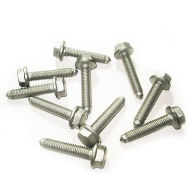 TORNILLO COLECTOR DE ADMISION -EW10- 307-308-EXP