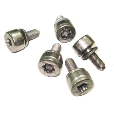 TORNILLO FIJACION LIMITADOR PORTON TRAS ORIG PART