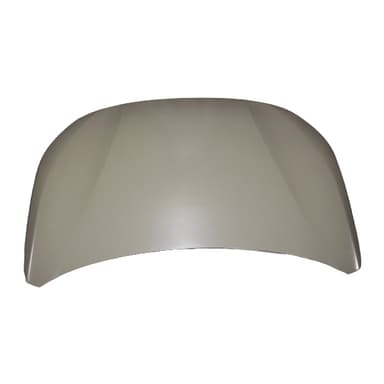 CAPOT ORIGINAL 208 2020/...