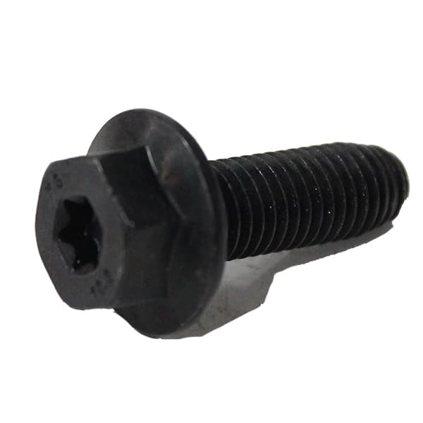Tornillo fij cinturon seguridad orig flu/meg iii