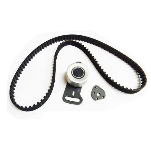 Kit distribucion contitech 118 x 190 r18 /21/2.2