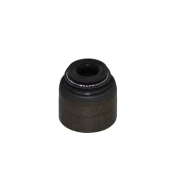 RETEN VALVULAS (H4M) ORIG DUSTER/CAPTUR