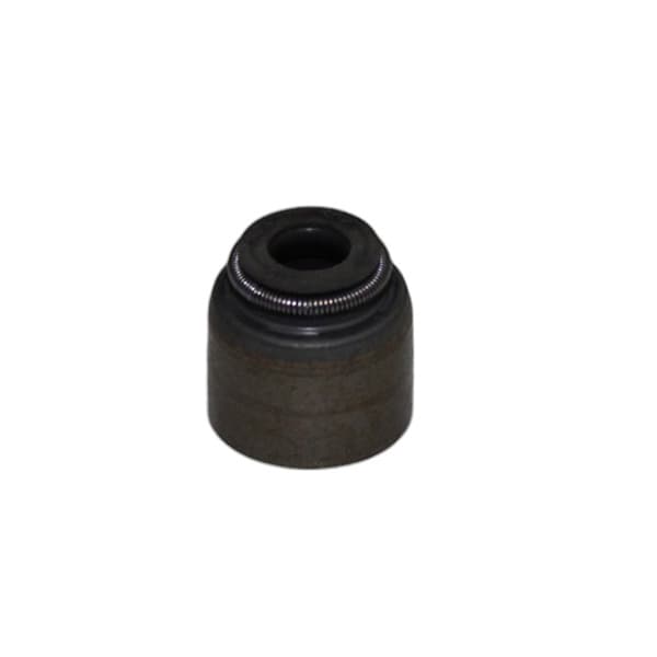 Reten valvulas (h4m) orig duster/captur
