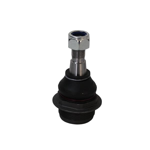 Rotula susp. der orig master iii 2.3 13/21