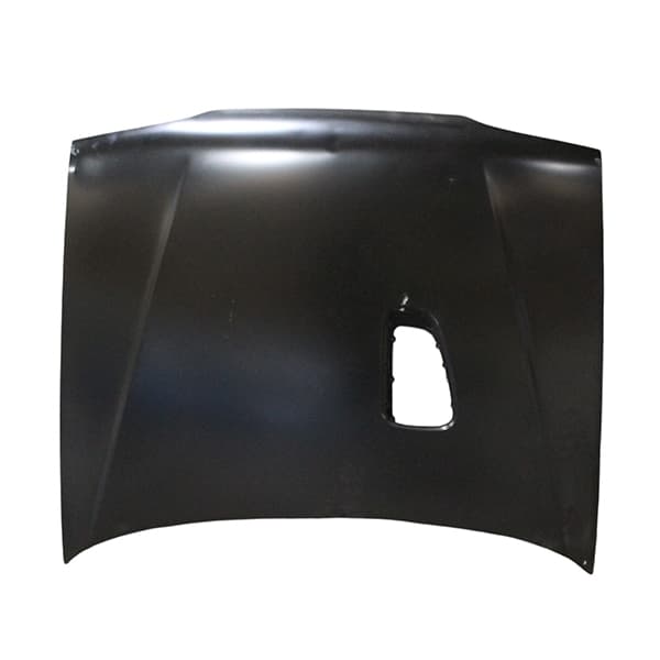 Capot original r19 cabriolet c/toma de aire