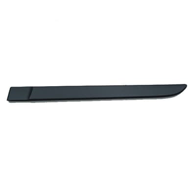 MOLDURA PTA TRAS IZQ ORIG MEGANE II