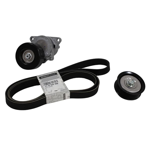 Kit poly v original koleos 2.5