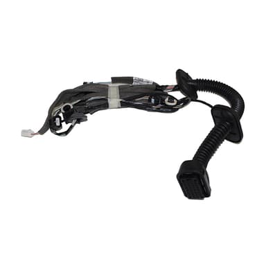 MAZO CABLEADO PTA DEL DER ORIG FLUENCE