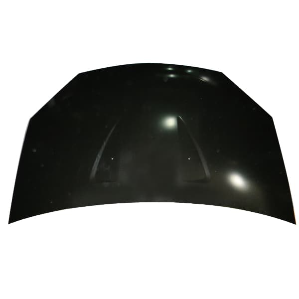 Capot importado sandero 08/10