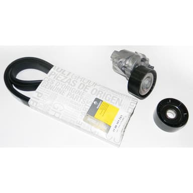 KIT POLY V ORIG CLIO/SYMBOL/KANGOO/MEGANE K4M 14/