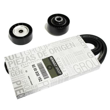 KIT TENSOR CORREA ALTERN POLY V ORIG CLIO MIO D4F