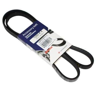 CORREA 4PK-1260 HUTCHINSON 1.6 8 Valv. MEGANE