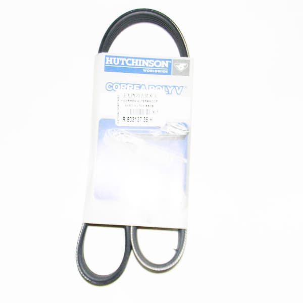 Correa 5pk-903 hutchinson