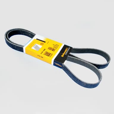 CORREA 6PK-1600 CONTITECH