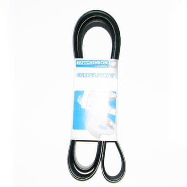 CORREA 6PK-1824 HUTCHINSON