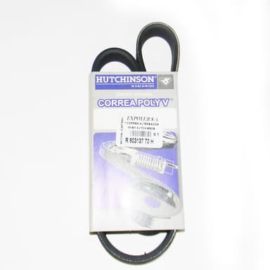 CORREA 6PK-841 HUTCHINSON