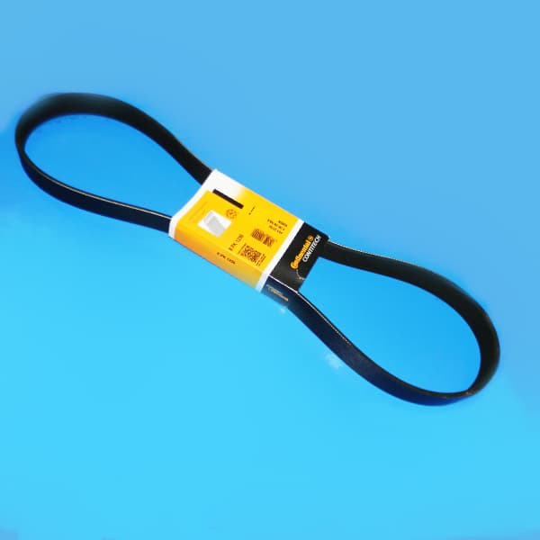 Correa 8pk-1230 contitech