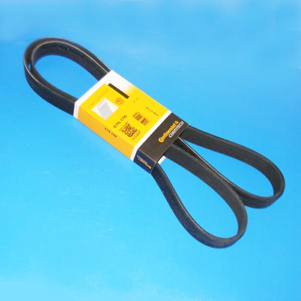 Correa 8pk-1795 contitech