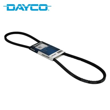 CORREA AV10-1200 DAYCO