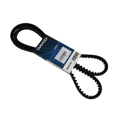 CORREA 13-1575 DAYCO