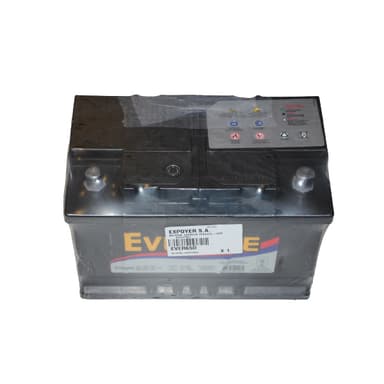 BATERIA  EVERLITE 65Amp/h +DER  281x175x175
