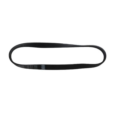 CORREA 6SK-762 ELASTICA TREND 1.6 8V