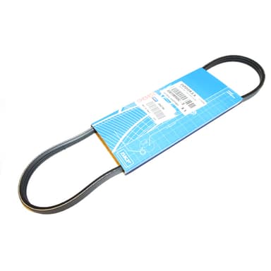 CORREA 3SK-796 ELASTICA
