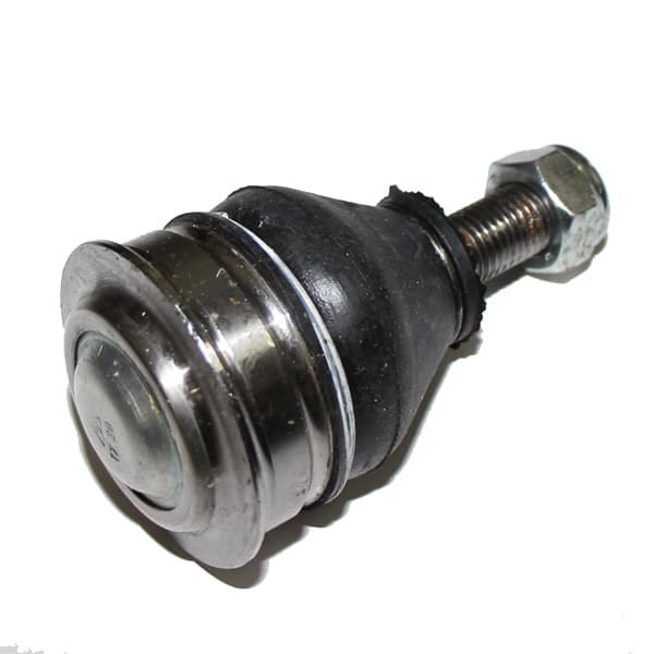 Rotula susp. superior nakata n1083 amarok
