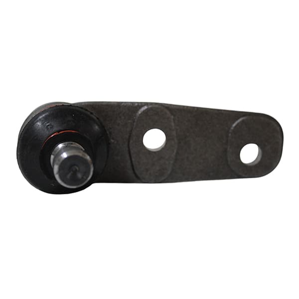Rotula susp. der thompson senda/gol 83/93