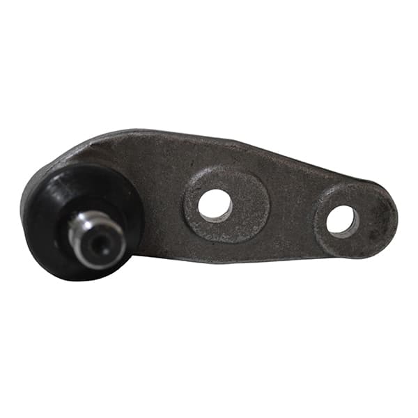 Rotula susp. der thompson senda/gol 93/95