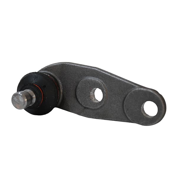 Rotula susp. der d/h thompson gol ab9 /97