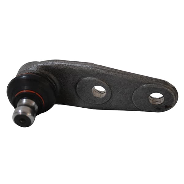 Rotula susp. d/m thompson gol ab9 97/