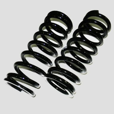 JUEGO RESORTES SUSP TRAS 815G CAR GNC VW1500 RURAL