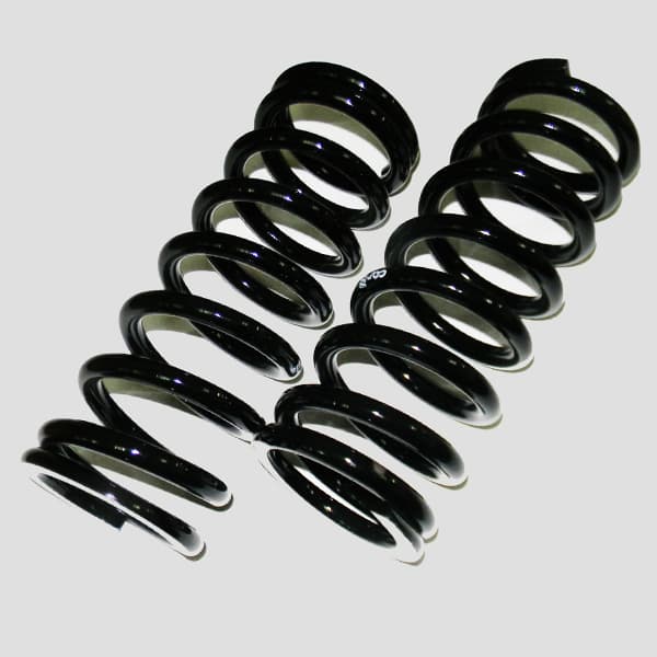 Juego resortes susp tras 815g car gnc vw1500 rural