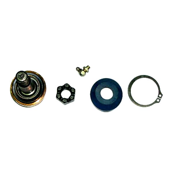 Rotula susp. inferior nakata 2122 ranger 97/12
